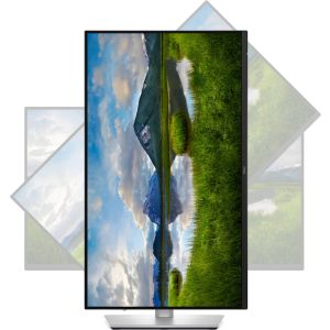 Dell Pro Plus/P2425D/23,8"/IPS/QHD/100Hz/5ms/Blck-Slvr/3R 210-BQMX