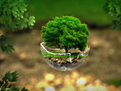 Ekologické okienko - ekostopa