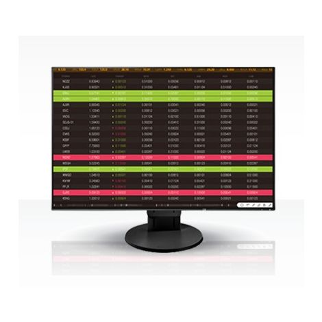EIZO FlexScan/EV2456/24,1"/IPS/FHD/60Hz/5ms/Black/5R EV2456-BK