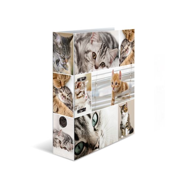 Poradač pákový A4/7 cm Mačky