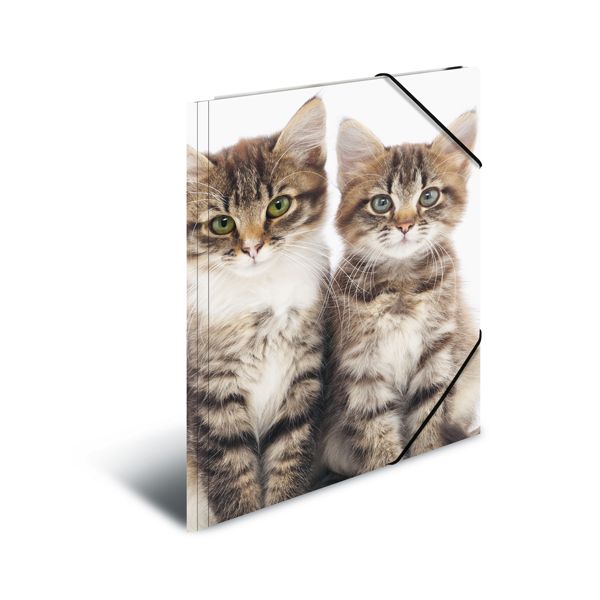 Doska s gumičkou PP A4 Cats