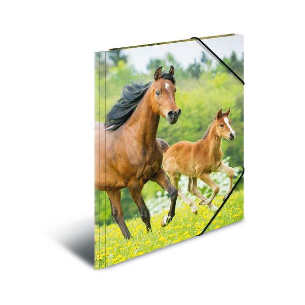 Doska s gumičkou PP A4 Horses