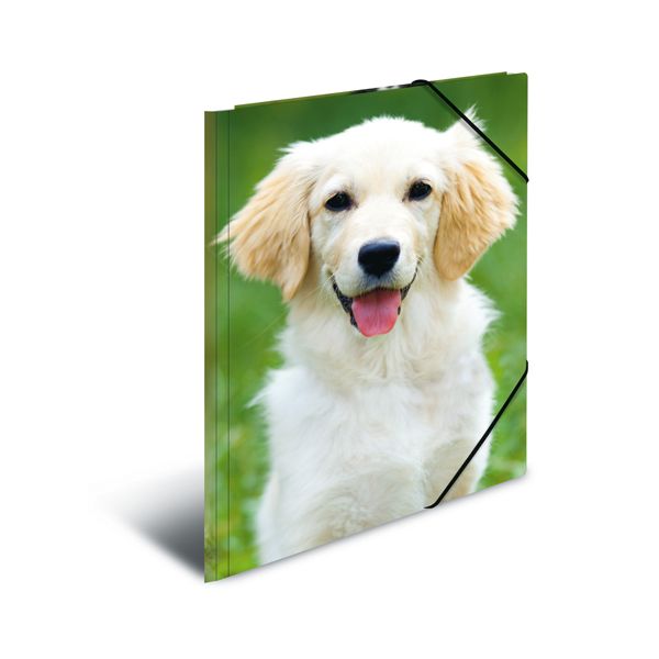 Doska s gumičkou PP A3 Dogs