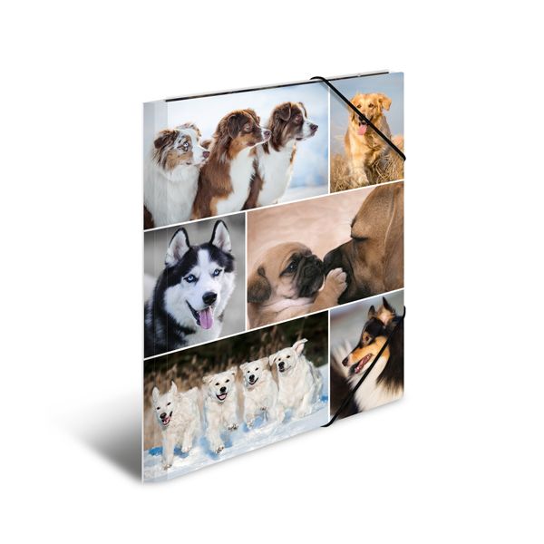 Doska s gumičkou A4 kartón - psy