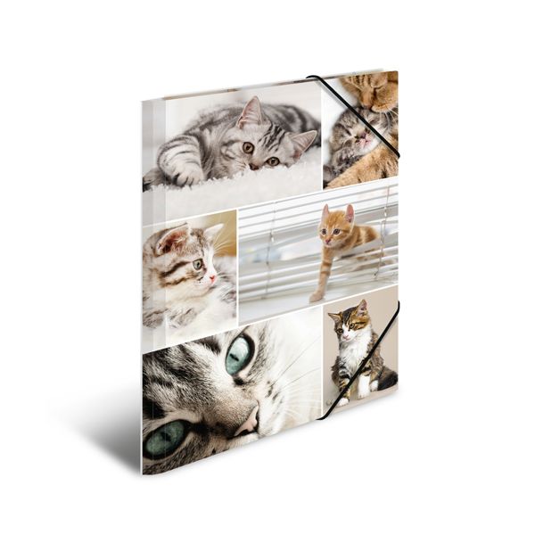 Doska s gumičkou A3 kartón - mačky