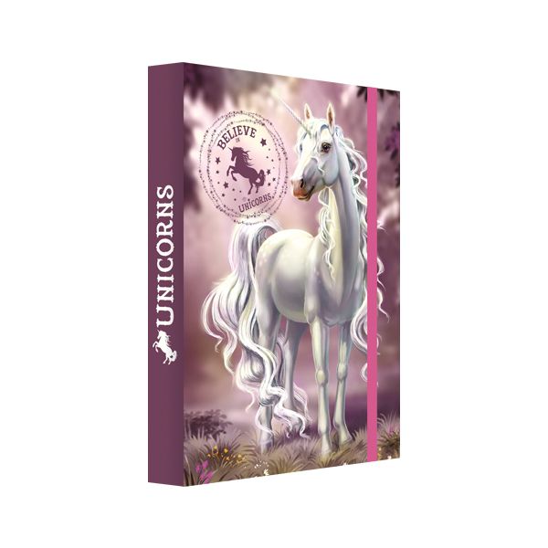 Box na zošity A4 Jumbo Believe in Unicorns