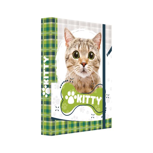 Box na zošity A4 Jumbo Kitty