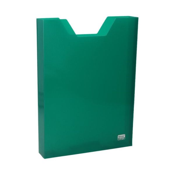 Priehradka do školskej tašky 23x32x4 cm, transparentná zelená