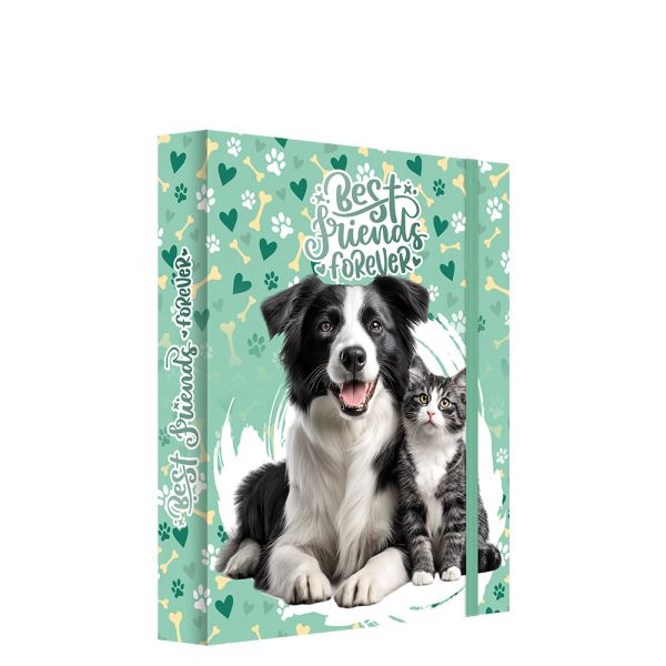 Box na zošity A5 Jumbo MAX JUNIOR S9 - Best Friends Forever