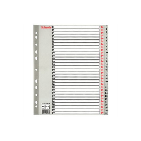 Plastový rozraďovač Esselte 1-31 maxi sivý 