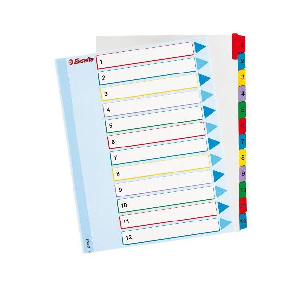 Kartónový rozraďovač Esselte ProjectPro 1-12 maxi 