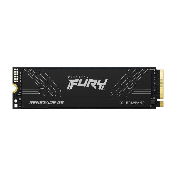 Kingston Fury Renegade G5/4TB/SSD/M.2 NVMe/Čierna/Heatsink/5R SFYR2S/4T0