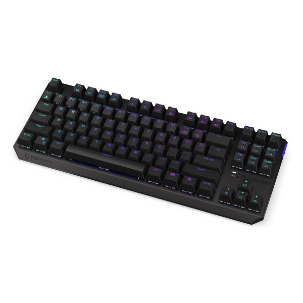 Endorfy Thock TKL Black/Drátové/Bezdrôtové/US layout/Čierna EY5A081