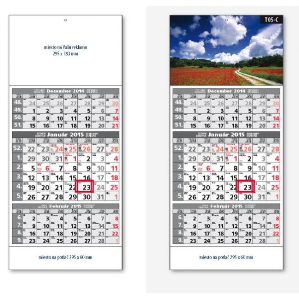 Plánovací kalendár ŠTANDARD 5-mesačný sivý - Obr.C 