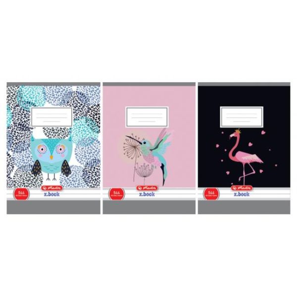 Zošit Herlitz 544 A5 mix motívov dievčatá linajkový 70g/m2 mix 