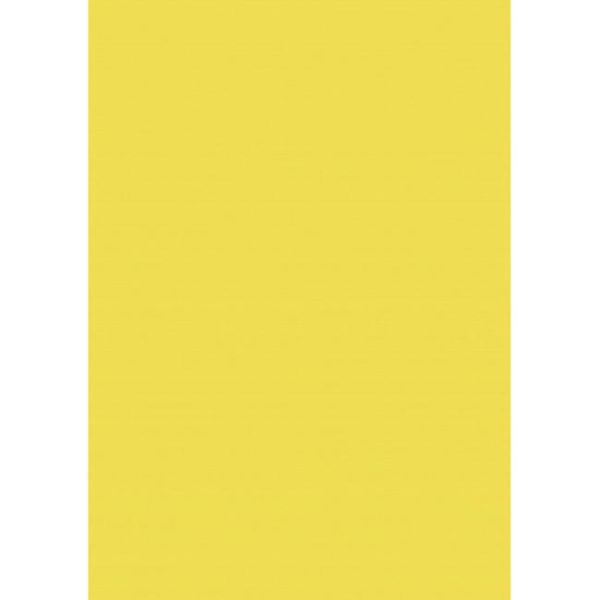 Výkresy Herlitz 50 x 70 cm, 10 hárkov, 300 g, farba svetložltá 