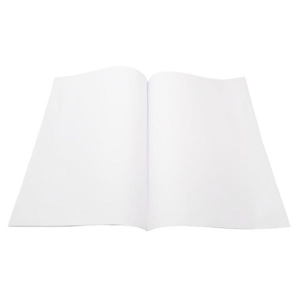 Dvojhárky čisté A4 (250 ks)