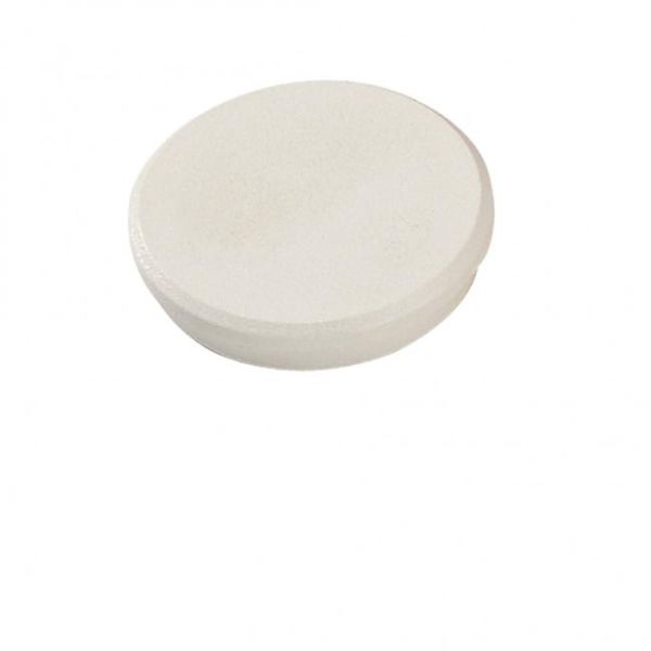 Magnet 32 mm biely 