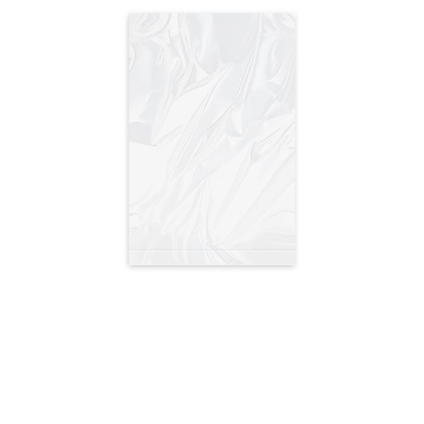 Vrecko ploché (LDPE) silné transparentné 20 x 30 cm [100 ks]