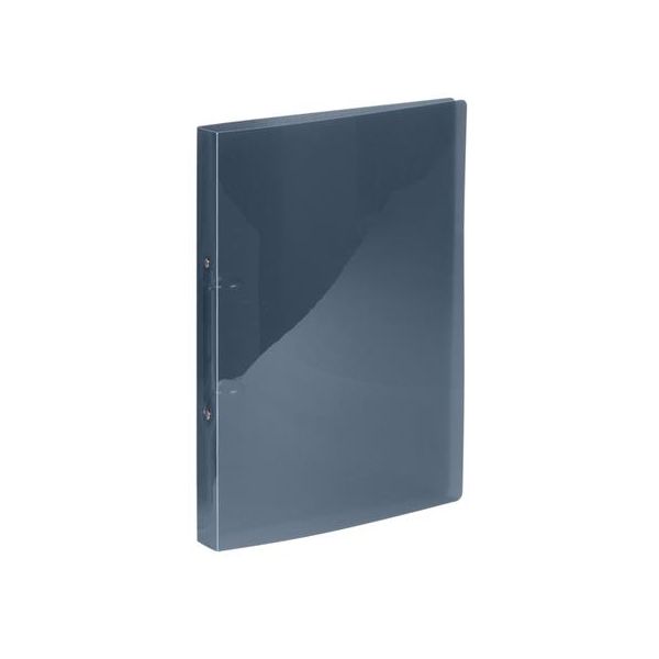 Krúžkový šanón, 2 krúžky, 25 mm, A4, PP, VIQUEL "Propyglass", dymová