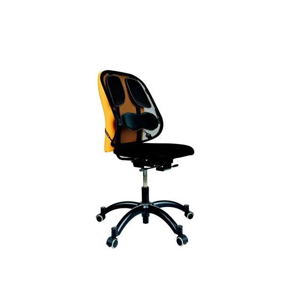Chrbtová opierka, FELLOWES "Professional Series™ Mesh"