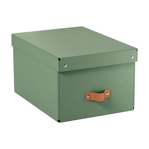 Úložný box, veľkosť M, LEITZ "Puro", zelený