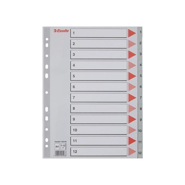 Register, plastový, A4, 1-12, ESSELTE, sivý
