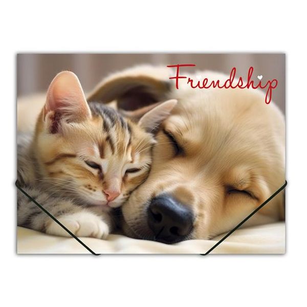 Doska s gumičkou, 15 mm, PP, A4, PANTA PLAST "Friendship"