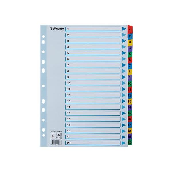 Register, kartón, A4, 1-20, ESSELTE "Mylar"