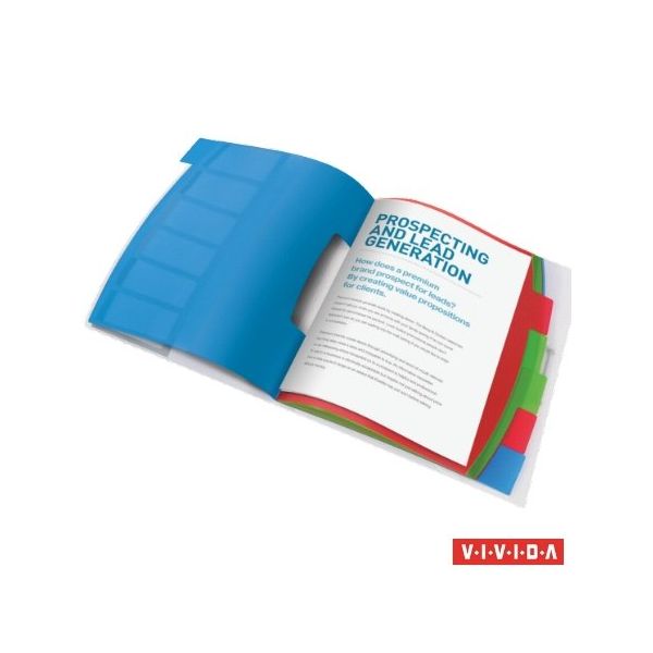 Organizér, A4, 6 dielny, plastový, ESSELTE "Vivida", priehľadný