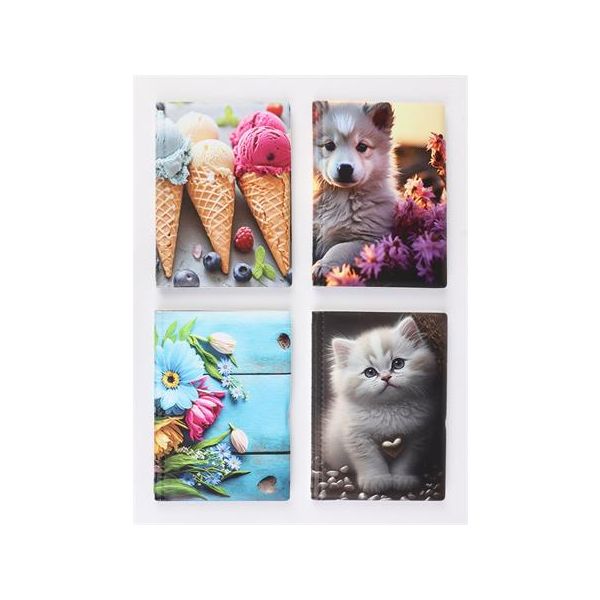 Držiak na preukazy, stojatý, s 10 vkladacími listami, vzorovaný PVC, „Rozšírený osobný“, pre dievča