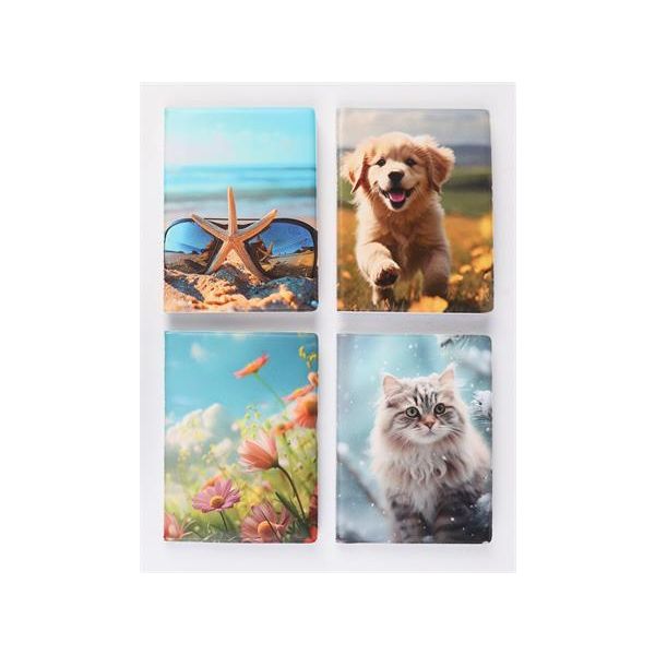 Držiak na preukazy, stojatý, s 16 vkladacími listami, vzorovaný PVC, „Doklady“, pre dievča