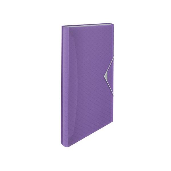 Harmoniková doska, A4, PP, 6 priehradiek, ESSELTE "Colour`Breeze", levanduľová