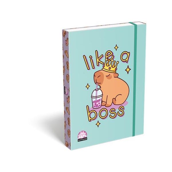 Box na zošity, A4, LIZZYSULI, Lollipop Capybara, zelený