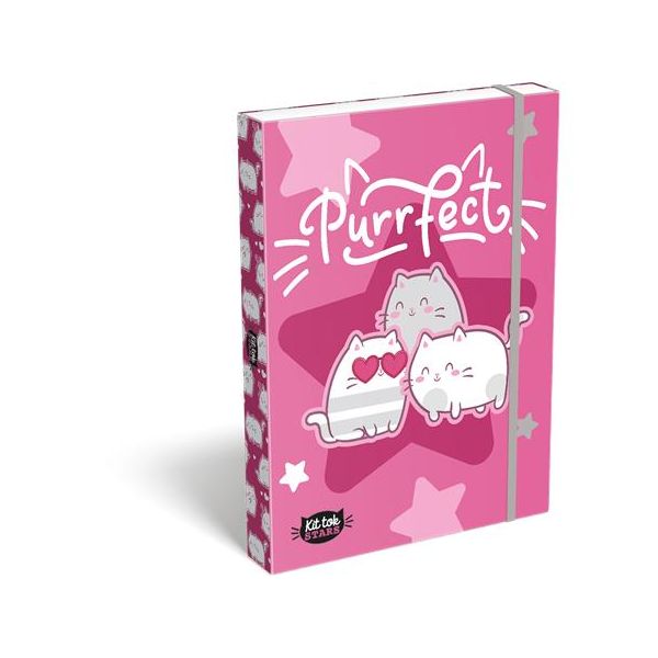 Box na zošity, A4, LIZZYSULI, "Kit tok Stars Purrfect"