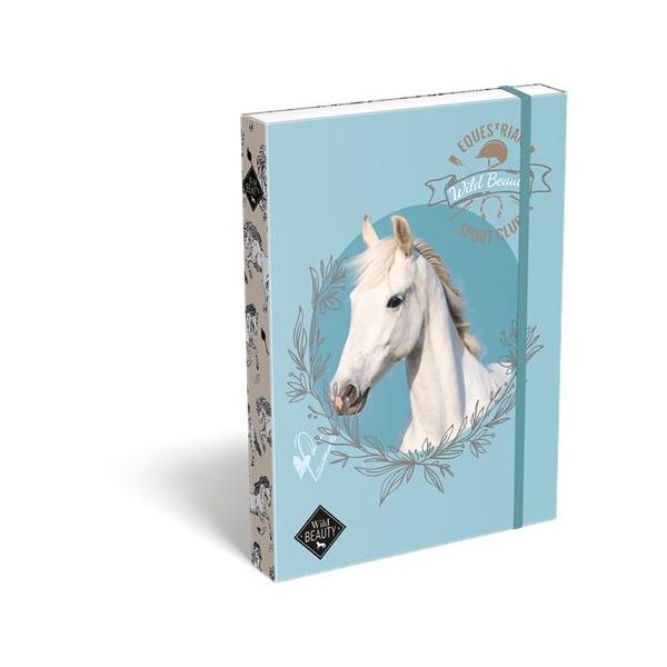 Box na zošity, A4, LIZZYSULI,  "Wild Beauty, Sport Club"