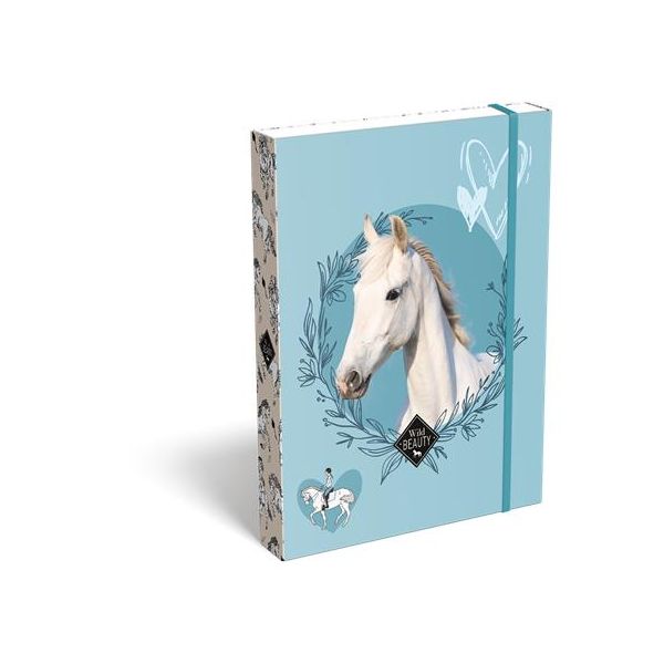 Box na zošity, A5, LIZZYSULI,  "Wild Beauty, Sport Club"